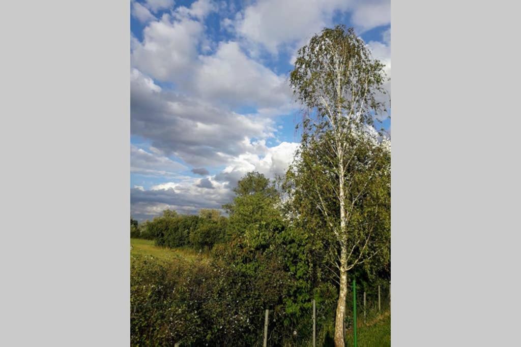 Entspannen Im Dorf Am See Zahren المظهر الخارجي الصورة