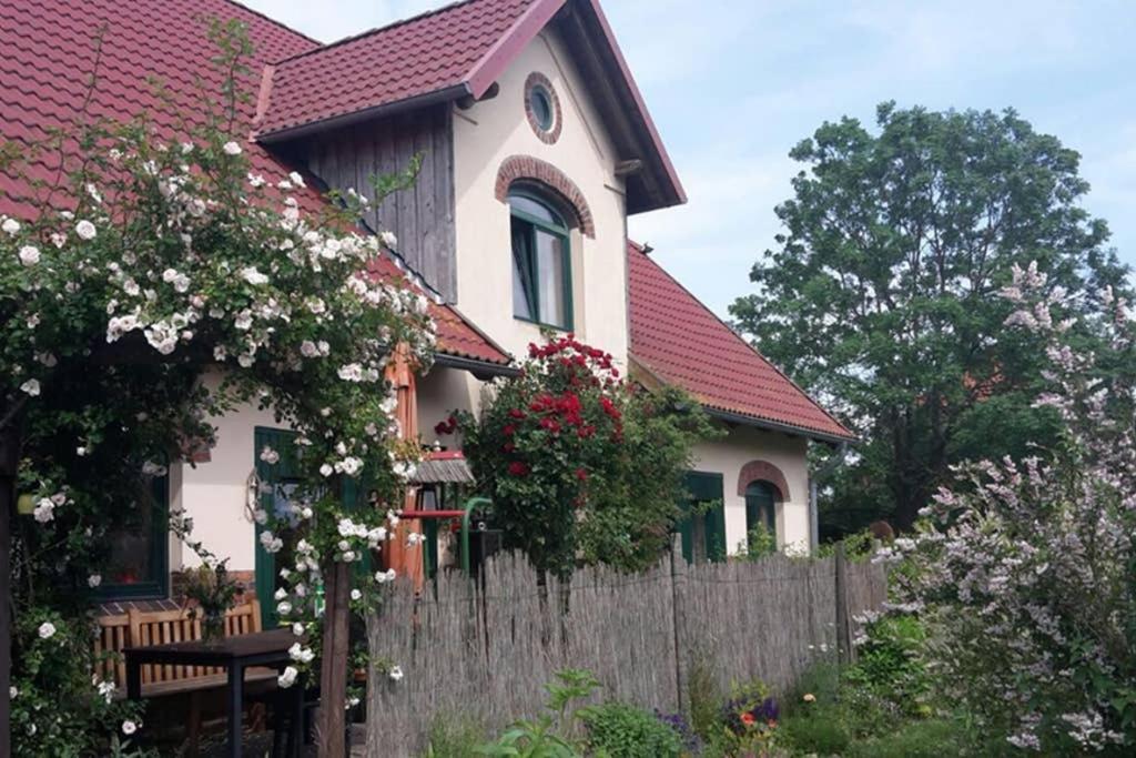 Entspannen Im Dorf Am See Zahren المظهر الخارجي الصورة